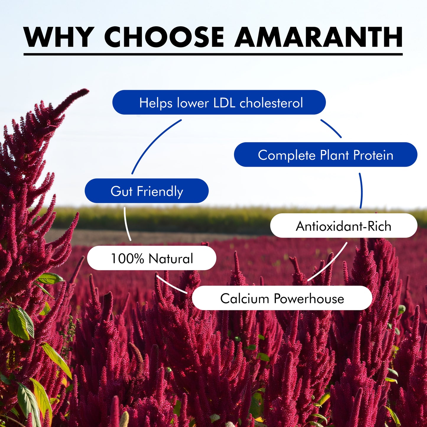 Amarancho Puffed amaranth in pouch 180 gr